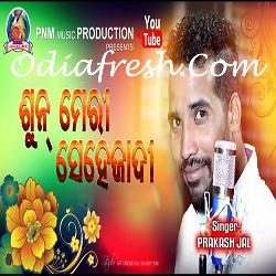 Sun Meri Sahezadi - Sambalpuri Song